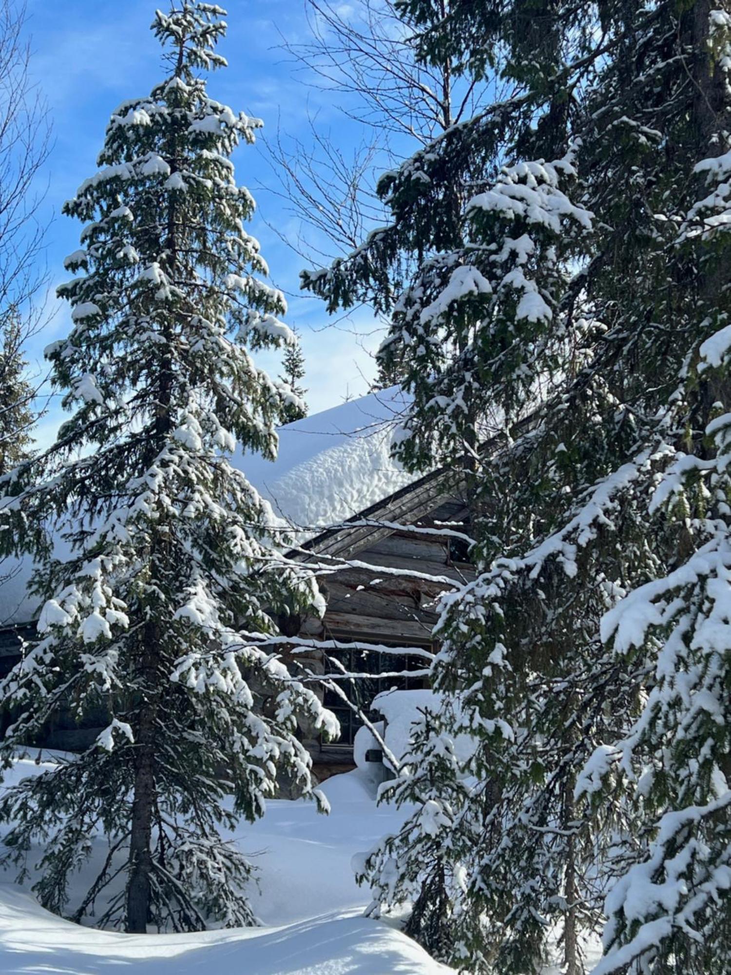 Lapland Log Chalet Cabin Ukko-Kelo Luosto Villa Esterno foto